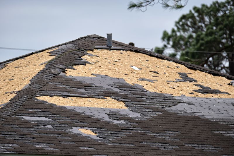 Roof Repair Results